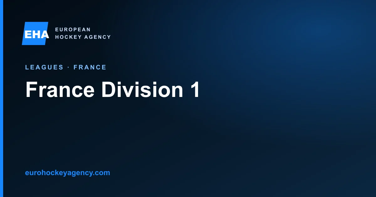 France Division 1 player guide: league level, recruitment, current-rule checks, contracts, work permission, IIHF transfer and application package.