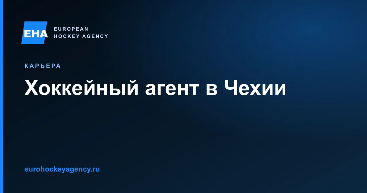 Как агент оценивает соответствие игрока рынку Чехии, готовит профиль и работает с клубами Tipsport Extraliga, Maxa liga и нижние дивизионы.